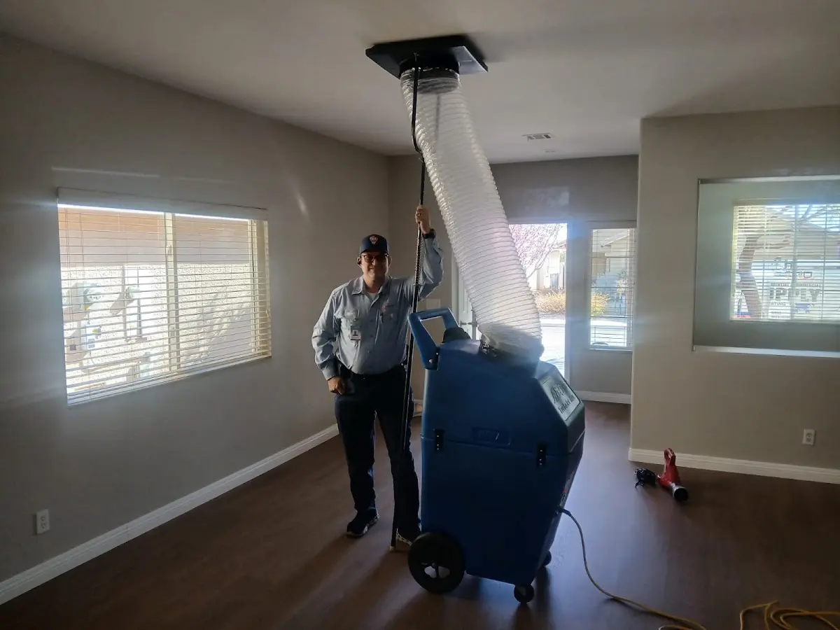 Professional Dryer Vent Cleaning work inside a Rockville Centre home